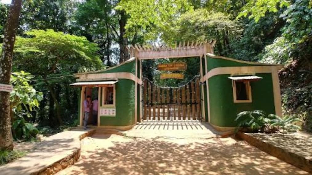 Udawattakele Forest Reserve-1